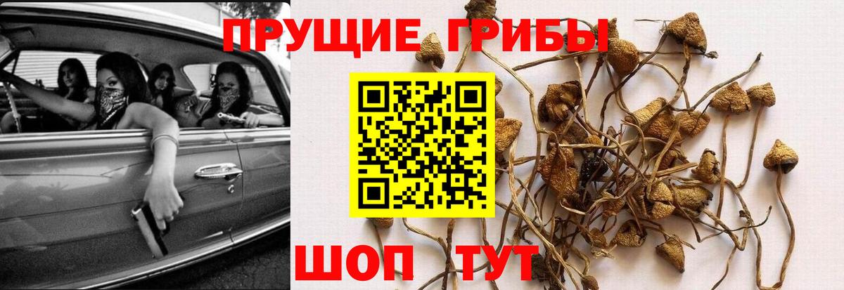 Псилоцибиновые грибы Magic Shrooms Жуковский